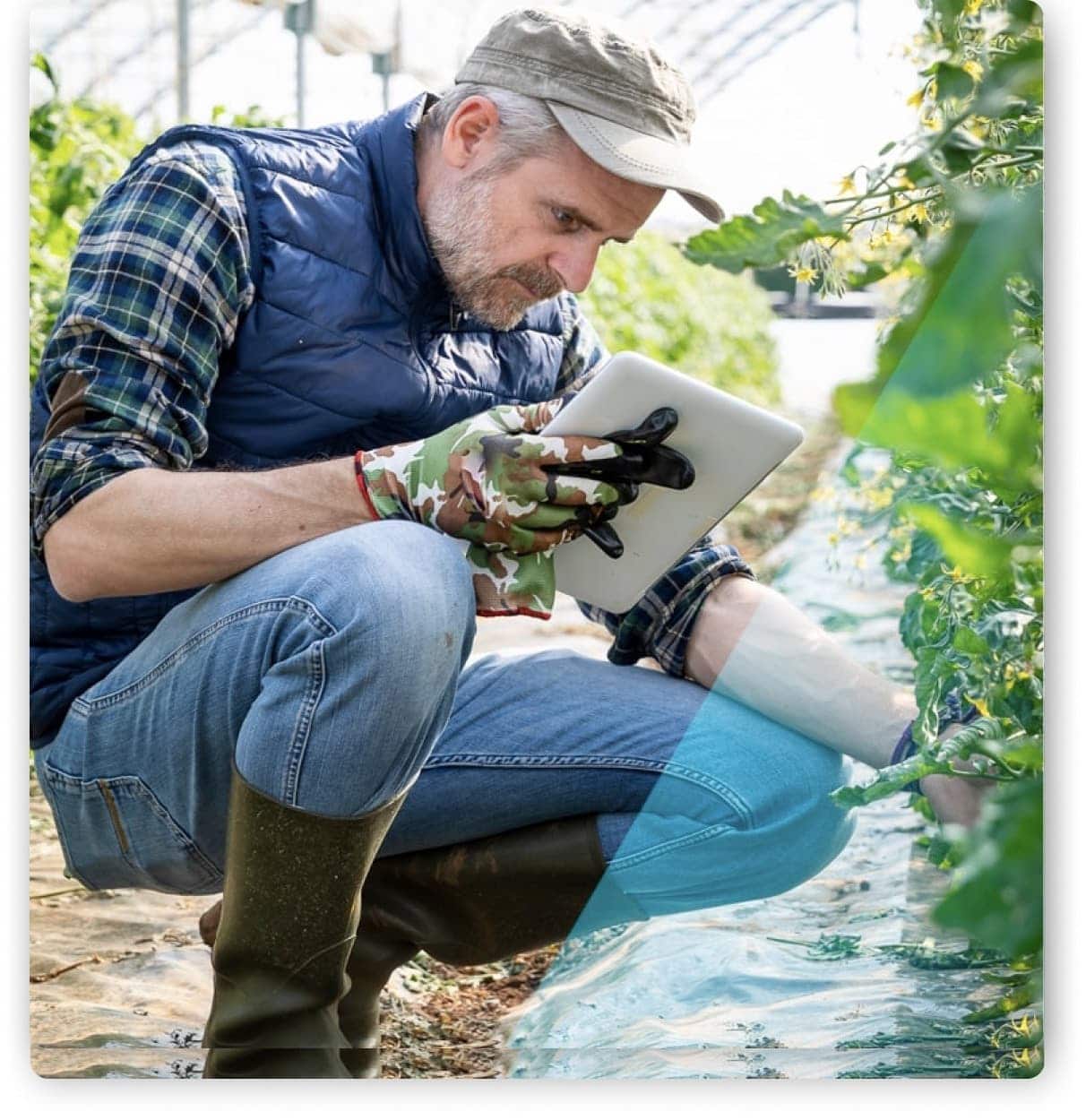 man with tablet tending to plants
