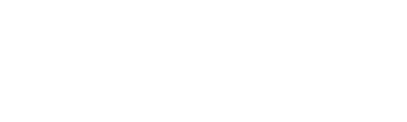 Fiege Air Cargo Logistics Logo